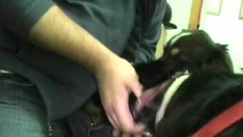 Horny dude gets a nice blowjob from his dog