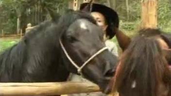 Sweet busty hottie zoophile jerks and sucks a massive pony cock