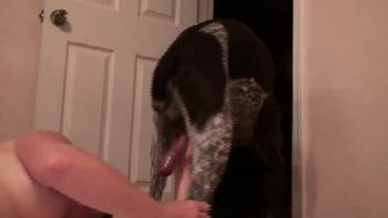 Older woman gags on that canine's delicious dick