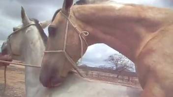 Incredible sex with a pale filly featuring a steamy snatch