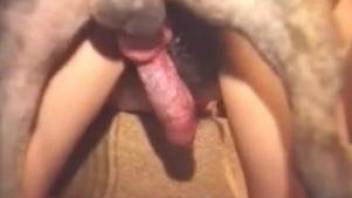 Hardcore fuck fest with dogs and horny retro MILFs
