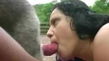 Brunette Latina selflessly blows a big-dicked dog