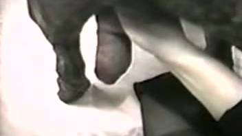 Intense deepthroat action with a hot blonde