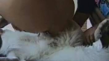Gorgeous ebony hound erotically thrusts into lithe fair-haired woman in the standard missionary position
