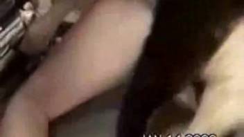 Intense canine intercourse video featuring an aroused novice