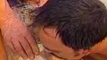 Guy penetrating a female goat's vagina prior to screwing it