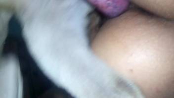 Aroused dude with a firm ass gets pounded by a canine
