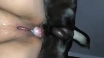 Flawless cunt bestiality lover pounded from the rear by a canine