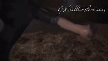 Voyeur-style porno video focusing on a horse cock