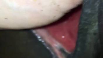 Guy probing every bit of that mare's steamy pussy