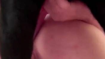 Expecting dark-haired lady is set to receive a canine's stiff penis