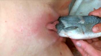 Mature pussy getting fucked with a dead fish