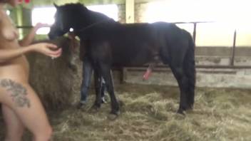 Dark-haired woman in nylons being penetrated by an ebony stallion