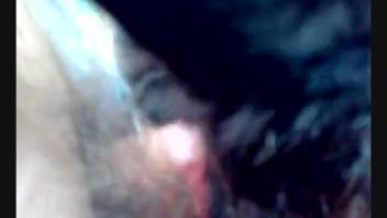 Man with a bushy cock forcefully deep-throating an aroused bovine