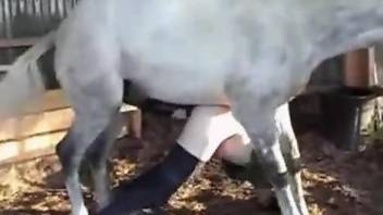 Gay zoophile gets fucked in the ass by a white stallion