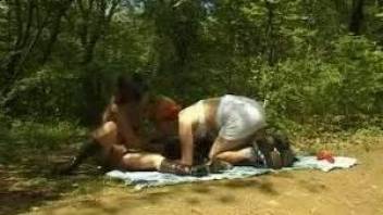 Horny granny blows a big-dicked dog during a picnic