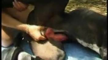 Gorgeous women rush to have sex with a dog in the public park
