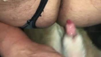 Guy in hot stockings has his butt penetrated by a canine