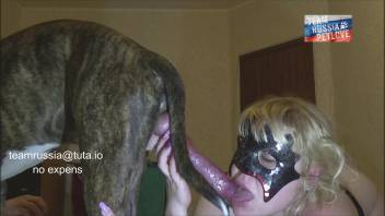 Disguised fair-haired whore blows her canine's cock