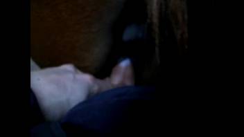 Guy's erect dick penetrates this chick's wet snatch