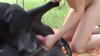 Pregnant zoophile babe riding a dog's cock outdoors