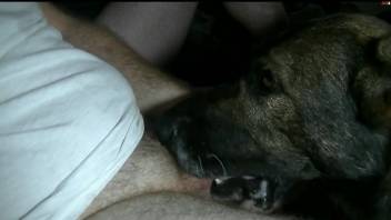 Dude with a throbbing cock gets blown by a dog