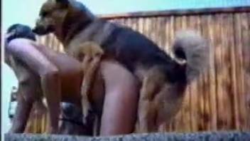 Classic bestiality sex scene with sweaty close-ups and extra content