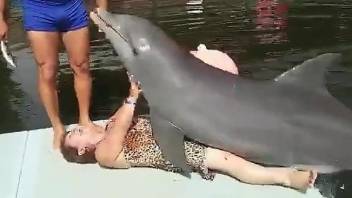 Dolphin dry-humps a kinky Latina granny on camera