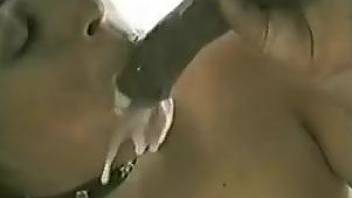 Collared cutie tasting horse semen in a free porn vid