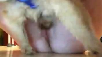 Curvy female slides whole dog penis into her wet cunt