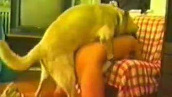 Sexy dark-haired woman being screwed by a highly perverted canine