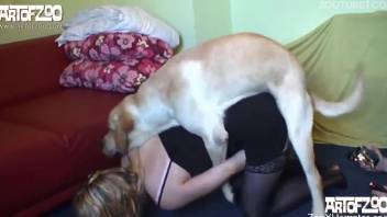 Adult wench in black stockings likes being fucked by dog