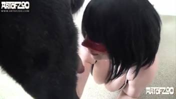 Voluptuous dark-haired woman blows her canine's penis like a genuine slut