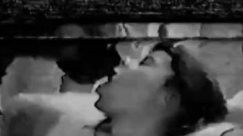 Awesome porno movie with B&W oral and lots more