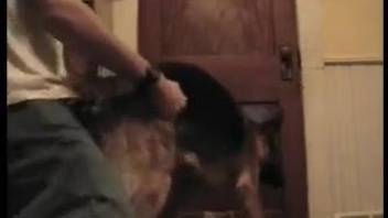 Watch how my nasty husband is fucking his awesome doggy