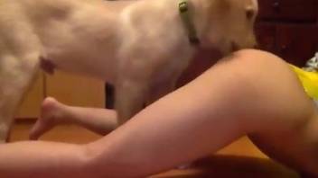 Leggy babe licked by a sexy animal in a hot video