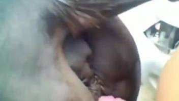 Good-looking mare cunt getting screwed from behind