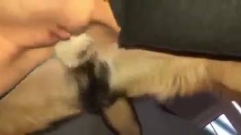 Excited woman toys with the canine penis in kinky fashions