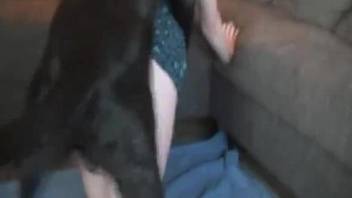 Bestiality video of young pussy frigged by own pet