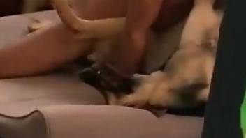 Missionary dog fuck movie with a submissive animal