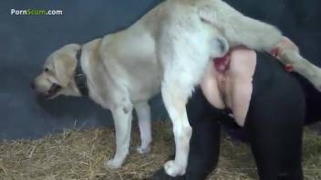 Intense sex clip showcasing a wet cunt mature babe and a swine