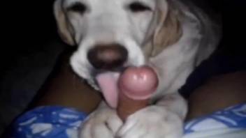 Dude's uncut cock gets pleasured by a VERY sexy doggo