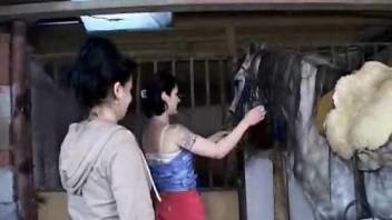 Teen gal pals enthusiastically fellating a stallion's dick