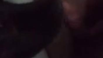 Guy's dick being blown by an obedient black bitch