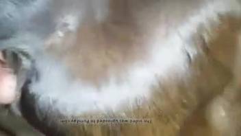 Guy ravages a creature's narrow orifice with his stiff dick