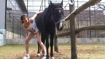 Leggy brunette earns a huge load from a sexy horse