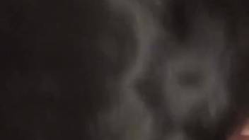 First-person perspective blowjob clip starring a sexy animal lover and a perverted pup