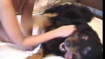 Slender-legged newbie savagely banged by a hot canine
