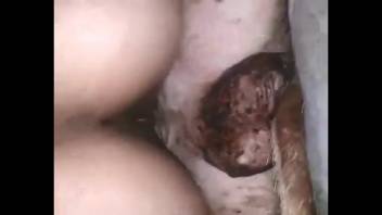 Slender dark-haired girl riding that guy's stiff penis