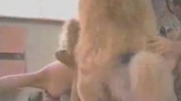 Lesbians sharing dog cock in naughty porn scenes